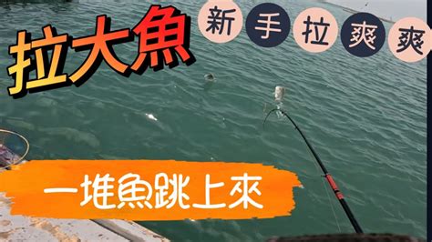 夢見魚跳出水面|夢見魚跳出水面